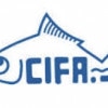 CIFA Recruitment – Research Associate Vacancy – Walk In Interview 30 Nov. 2017