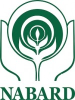 NABARD Asst Manager & Manager Recruitment 2021 Online Application for 162 Vacancy