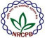 NRCPB, Walk In Interview For Senior Research Fellow, Junior Research Fellow – New Delhi