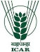 CRRI Vacancies For Sr.Technical Officer (Plant Protection), Programme Assistant (Computer) – Cuttack