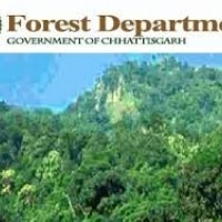 Chhattisgarh Forest Department Recruitment 2016 | 02 Assistant Draftsman Posts Last Date 24th September 2016