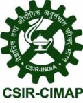 CIMAP Recruitment 2018 – Walk in for 49 PA, RA & JRF Posts