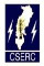 CSERC, Government Vacancies For Director (Tariff) – Raipur, Chhattisgarh