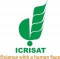 ICRISAT, Government Jobs For Senior Scientist (Gender Research) – Patancheru, Telangana