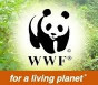 WWF-India, Government Jobs For Programme Associate (Volunteer Hub) – New Delhi